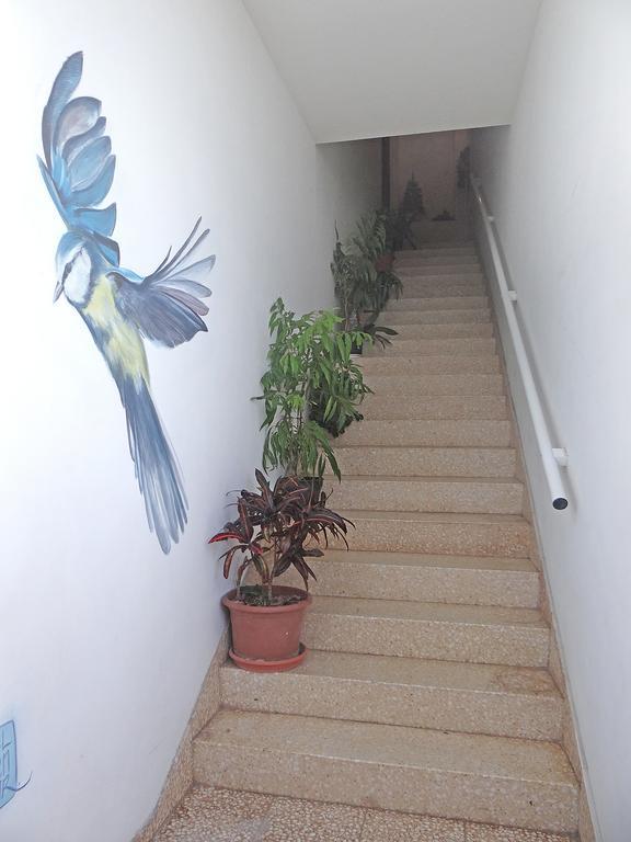 Apartamentos Dominguez Calera Bagian luar foto